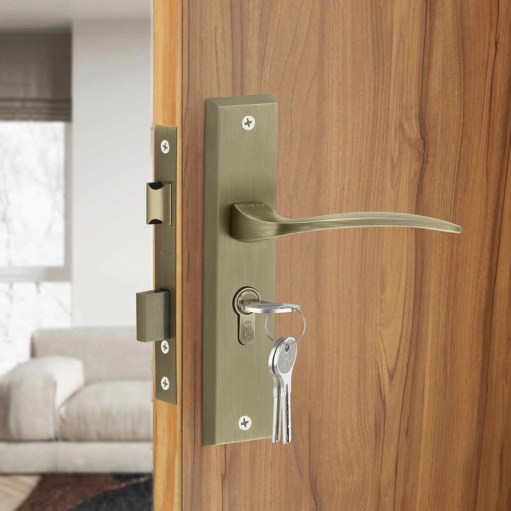 IPSA Azure Iris Handle Series Door Handle 10" Plate With Both Side Key Cylinder Finish MAB